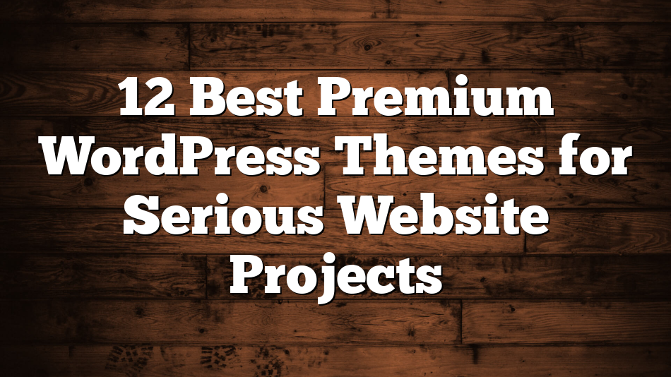 12 Best Premium WordPress Themes for Serious Website Projects